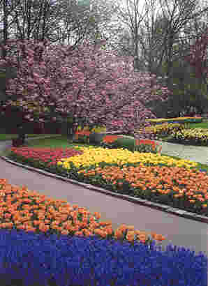 Keukenhof Gardens