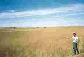 in Badlands National Park