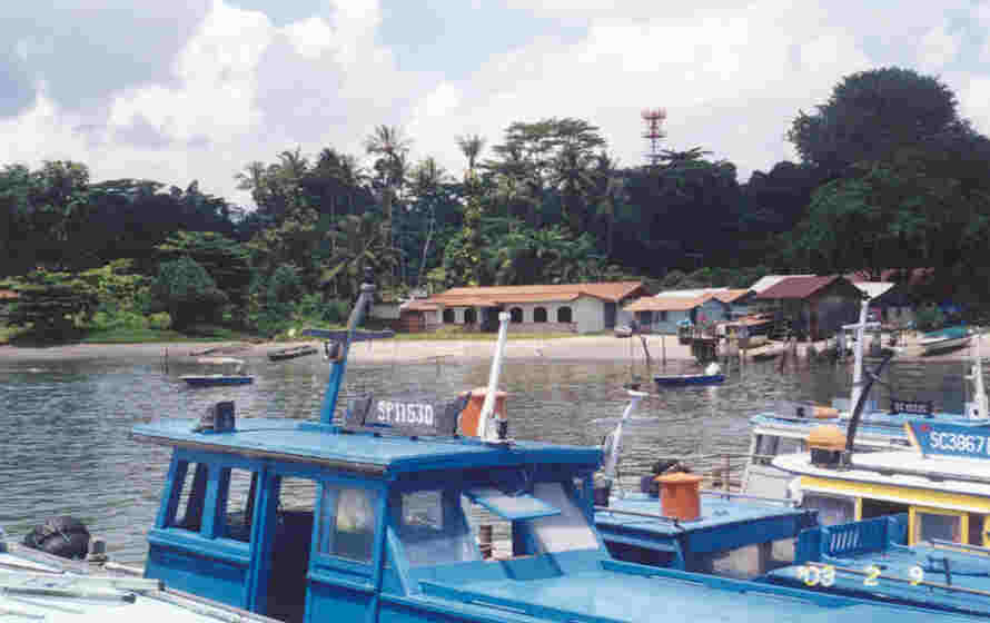 The peaceful rural landscape provides much needed respite from Singapore main island.