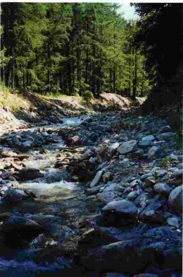 Mountain stream